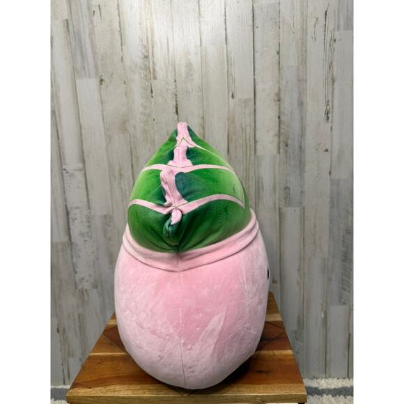 Squishmallows Afiyah Succulent Plant Plush Large Retired 16" - Picture 2 of 5